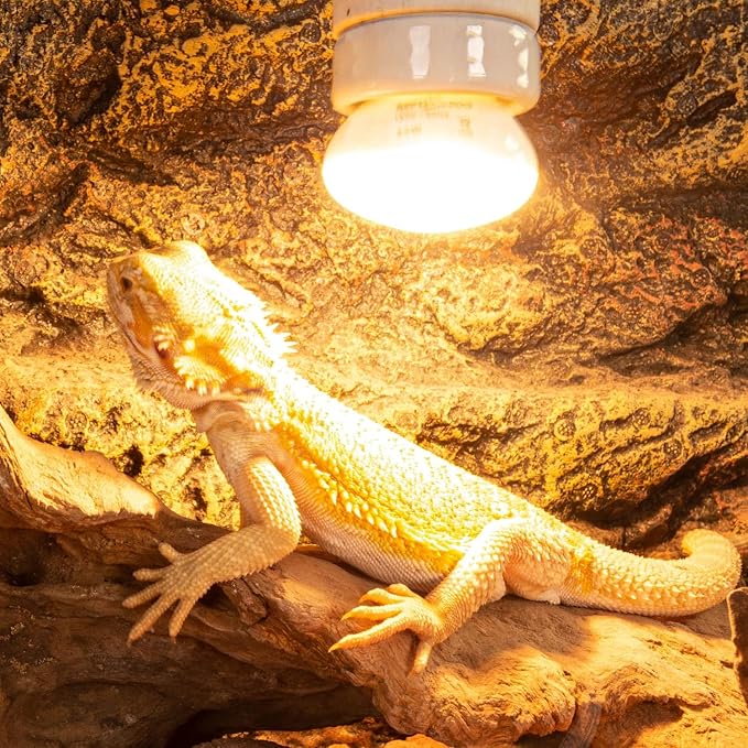 REPTI ZOO 25W Upgraded Nano Reptile Daylight Basking Spot Heat Lamp Bulb 2 Pack, UVA Full Spectrum Sun Light Daytime Heating Lamp for Reptile