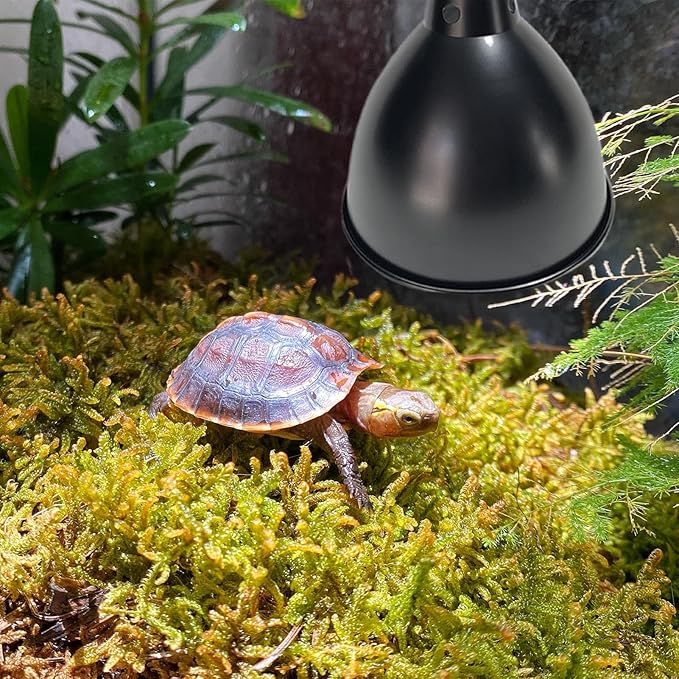 Terrarium Light Fixture - Reptile Heat Lamp Fixture with Deep Dome Design, UVB Bulb Reflector | Heat Bulbs Basking Lamp Holder, Optical Reflection Cover for Lizards, Turtles, and Amphibians