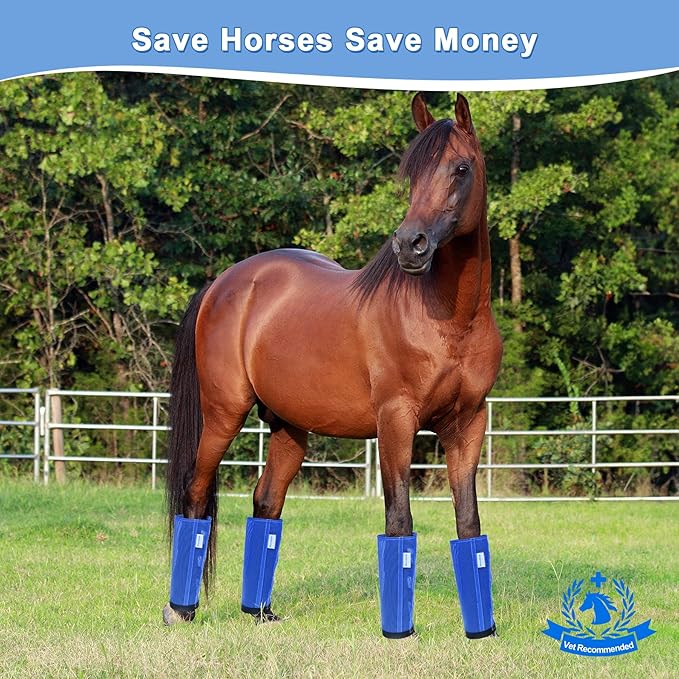 Horse Fly Boots Set of 4, Mesh Boots for Horses, Leggings for Horses, Reduce-Stomping, Breathable Mesh, Loose Fitting, Stay Up Not Sag, No Rub