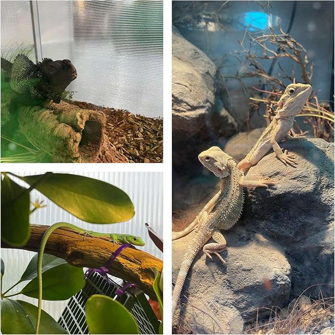 83 Gallon Bearded Dragon Tank 48x20x20in, Insulated Reptile Enclosure with Hollow Sunlight Panels, Aluminum Frame, Locking Sliding Glass Doors & Mesh Screen Top