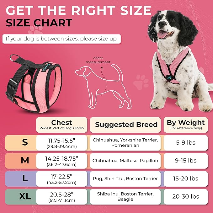 Gooby Comfort X Head in Harness - Pink, Small Harness Patented Choke-Free X Frame - Perfect on The Go Harness for Medium Dogs No Pull or Small Dogs for Indoor and Outdoor Use