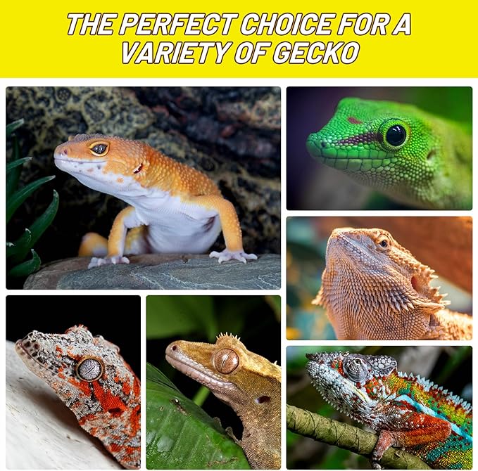 Crested Gecko Food, Silkworm Paste Reptile Food Made with Fresh Insects Gecko Food Complete Diet 2.82oz