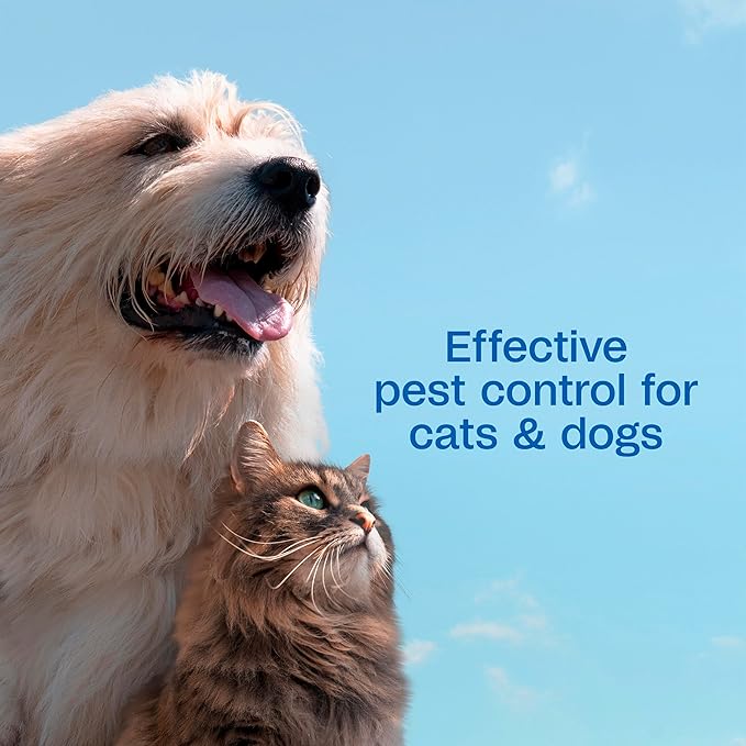 ADAMS Plus Flea & Tick Shampoo with Precor for Dogs, Cats, Puppies & Kittens, Flea Shampoo to Treat Flea Infestations, Kills Ticks, Fleas, Flea Eggs & Lice, Cleans and Conditions Coat, 24 Ounces