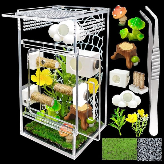 Jumping Spider Enclosure,DIY Insects Habitat,Small Reptile Terrarium Glass House Accessories Set,with Jumping Platform Hide Climbing Net(Green 2)