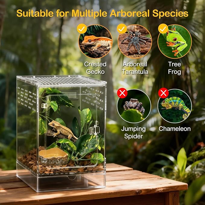 Reptile Terrarium,6" x 6" x 10" Tall Crested Gecko Tank,Polycarbonate Starter Kit Vertical Reptile Enclosure with Ventilation for Arboreal Tarantula Cribs,Tree Frog Cage,Small Reptiles Habitat