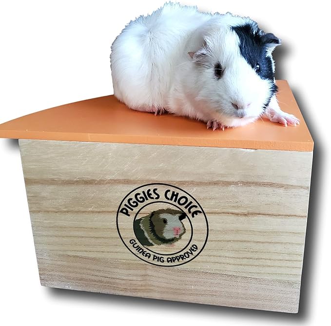 the Space House All Natural Sturdy Pine Wood Corner Hideout Hidey Guinea Pig Hut (Mango)