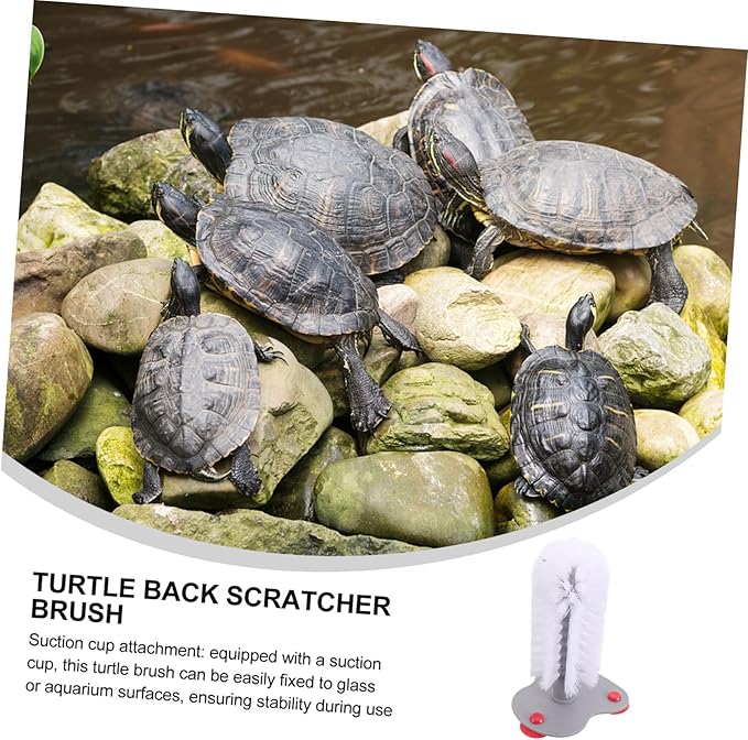 BESPORTBLE Turtle Tank Cleaning Brush Suction Cup Soft Bristle Turtle Brush and Back