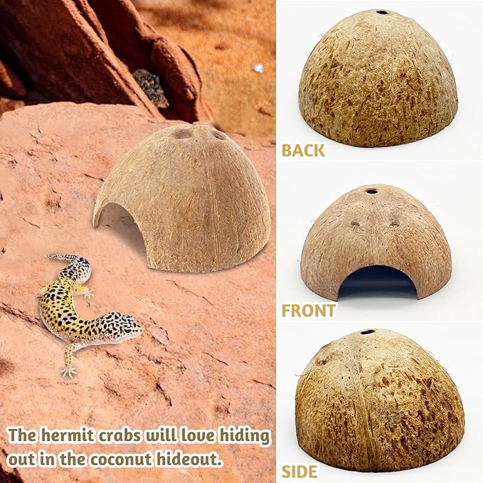 PINVNBY 6 PCS Natural Coconut Reptile Hideouts Lizard Coco Hut Hermit Crab Hut Aquarium Fish Hide Cave Spider Snail Climber Toys