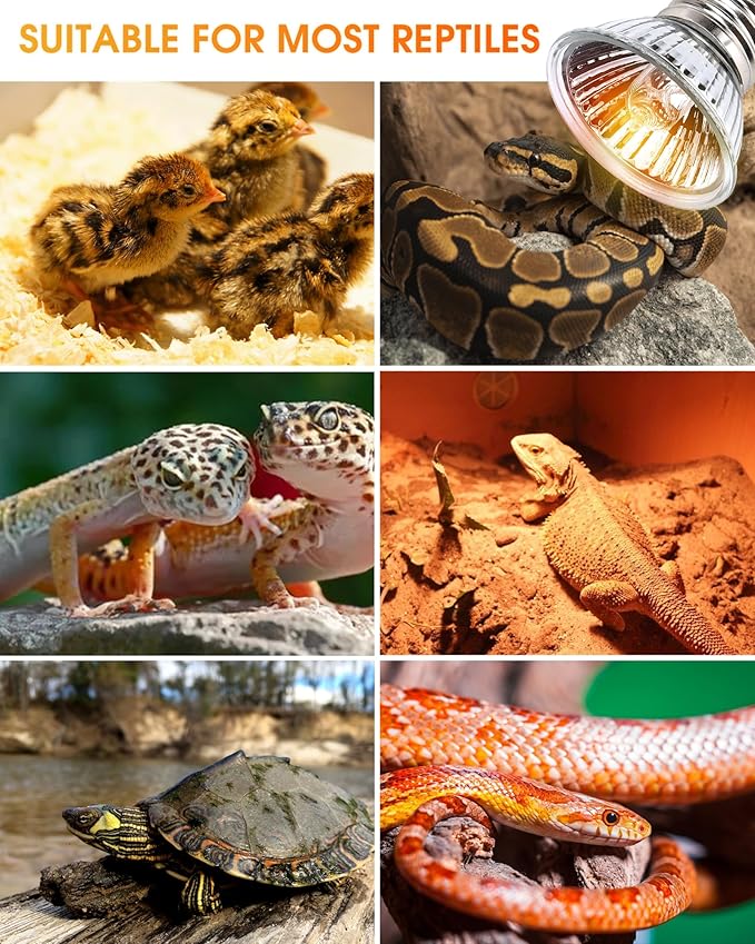 50W UVA+UVB Reptile Heat Lamp, 4 Pack Heat Lamp Light Bulbs for Reptiles, Amphibian Basking Lights, Terrariums and Cages,Works with Various Lamp Fixtures, for Bearded Dragon, Lizard, Gecko,Turtle