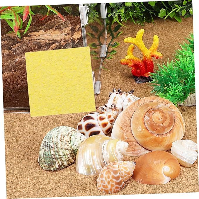 Toyvian 20pcs Crab Humidity Sponges Unbleached Sea Sponges for Maintaining Tank Moisture Multi-Functional PET Crab Supplies Suitable for Reptile Tanks