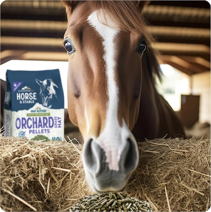 Blue Mountain Hay High Altitude Orchard Grass Hay Pellets (40 lb), Ultra Premium Nutrient Dense Forage, Small Quick Soaking Low Dust Pellets, Easy to Measure, Automatic Feeder Friendly