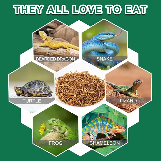 Dried Mealworm for Reptiles - High Protein Reptile Food for Bearded Dragons Turtles, Geckos, Snakes, Frogs Chickens, Birds, Hamsters & Hedgehogs（9oz）