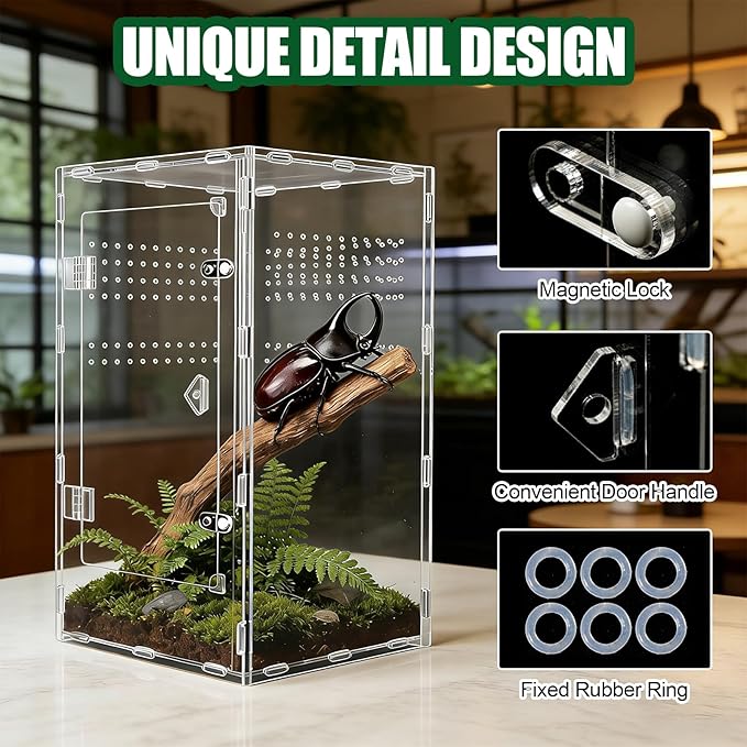 Acrylic Jumping Spider Enclosure, Transparent Reptile Terrarium Enclosure, Small Reptiles Habitat Tank Breeding Box for Tarantula Insect Snake Lizard (13.78 Large)