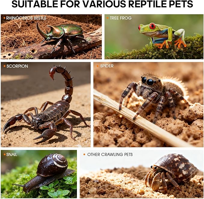 Jumping Spider Enclosure, Acrylic Terrarium with Magnetic Door & All-Side Ventilation, Easy-Clean Habitat for Spider, Tarantula, Mantis, Snail(Tweezer and Bowl Included)