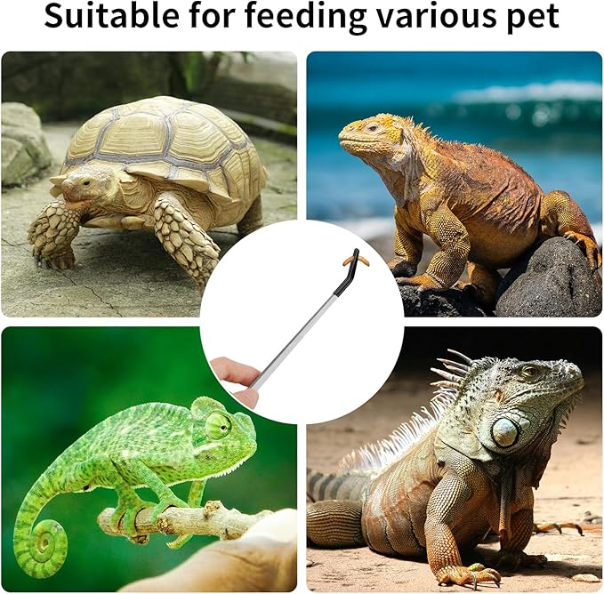 Novery 2PCS Stainless Steel Reptile Feeding Tongs with Rubber Tip, 10.6” Straight & Curved Long Tweezers for Aquarium or Craft, Bearded Dragon Tank Snakes Enclosure Accessories, Terrarium Supplies