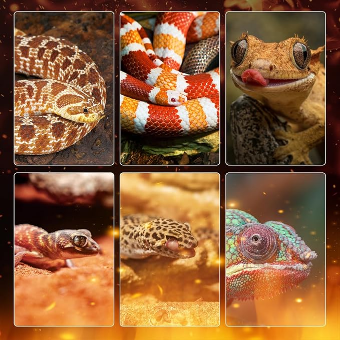 Oiibo Reptile Heating Panel Temperature Adjustable Reptile Heat Panel for Terrariums, Energy Efficient & Non-Light Heater for Reptiles, Snakes, Crested Gecko,Turtles,Leoparaand Amphibians