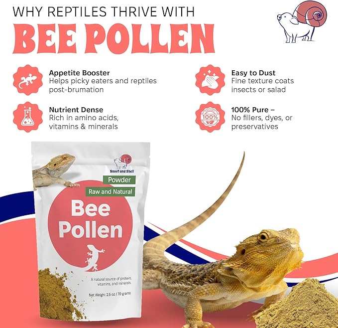 Bee Pollen Powder for Reptiles – Natural Appetite Booster & Vitamin Supplement – Dusting Powder for Feeder Insects & Salads – All-Natural Reptile Food Topper – 2.5 oz