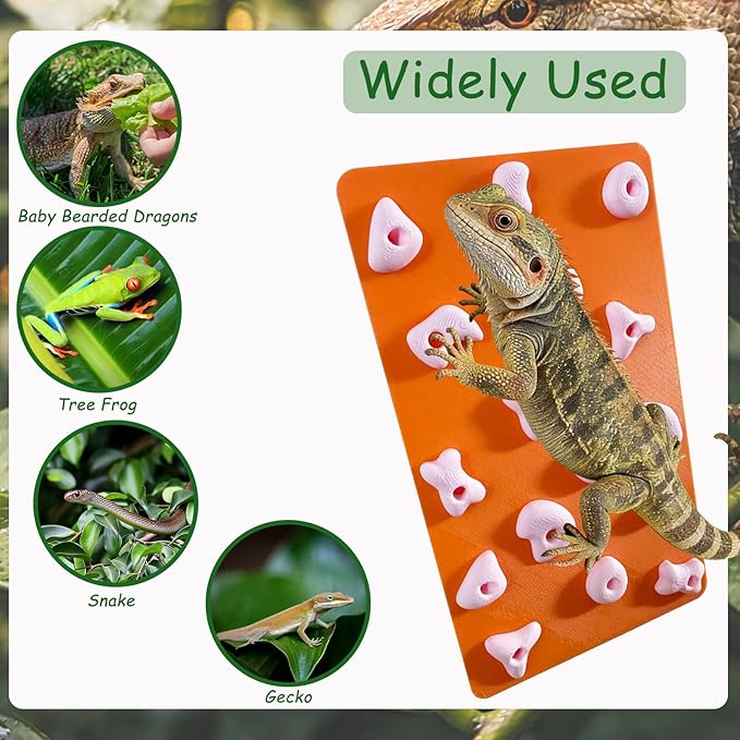 Mini Reptile Rock Climbing Wall, Terrarium Enclosure Enrichment & Habitat Décor for Bearded Dragons, Geckos, Lizards, Snakes, Tree Frogs and Small Amphibians (Orange & Pink)