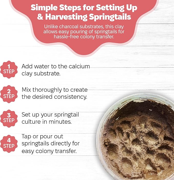 Snout and Shell Springtail Calcium Bearing Clay - 2 lb | Ideal for Culturing Springtails, Reptile and Amphibian Terrariums, and Natural Habitat Cleanup Crew