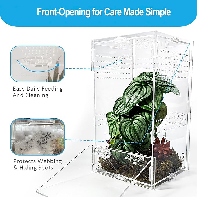 Jumping Spider Enclosure 6”x6”x10”, Arboreal Tarantula Enclosure, Praying Mantis Terrarium Critter Cage for Jumping Spider, Tarantula, Mantis, Snail, Isopods, Beetles, Millipedes