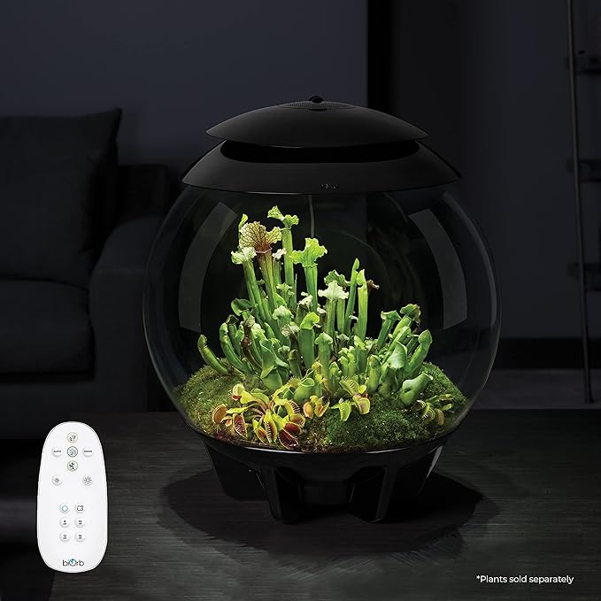 biOrb AIR 30, Automated Acrylic Terrarium for Desert or Tropical Plants, Black