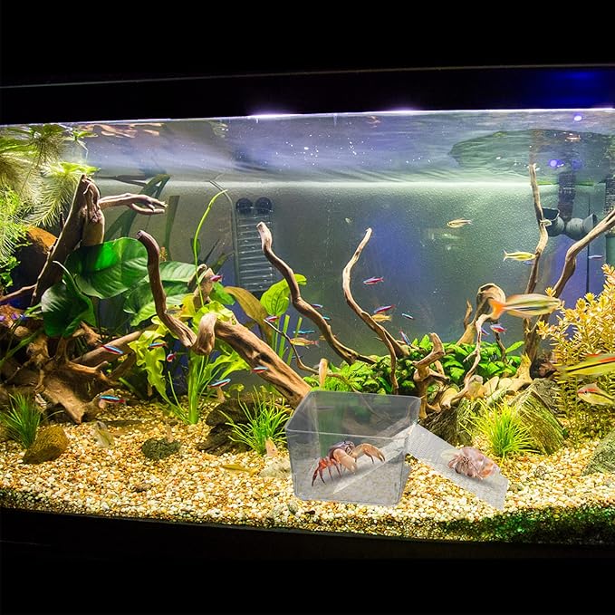 2 Pack Transparent Aquarium Tank with Climbing Ramp, Crab Habitat for Small to Medium Hermit Crabs