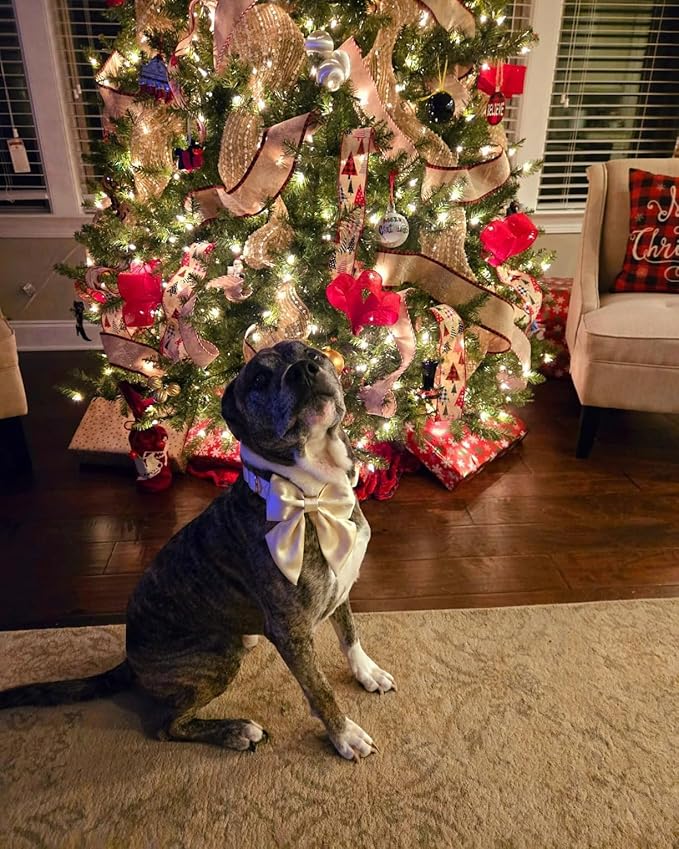 Lionet Paws Bowtie Dog Collar - Comfortable Silk Dog Collar with Detachable Bow Tie for XLarge Dogs, Neck 16-26 Inches