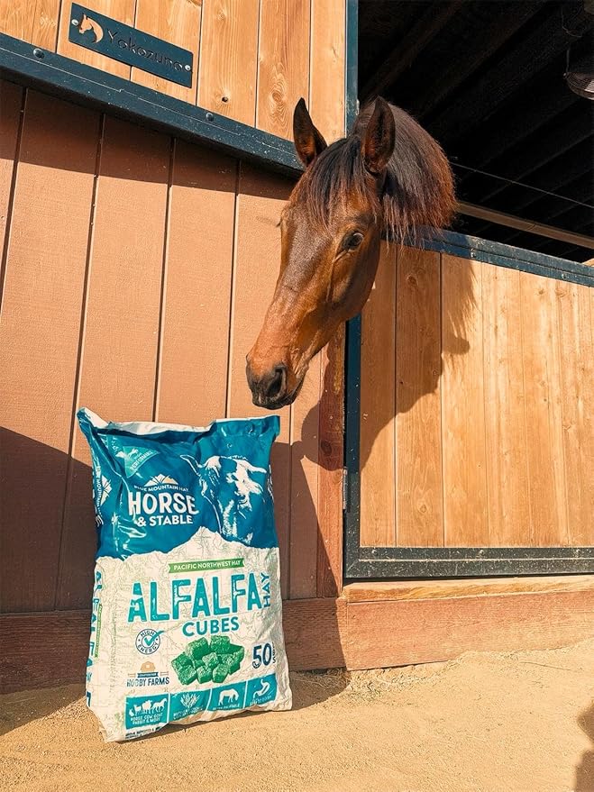 Blue Mountain Hay High-Altitude Alfalfa Hay Cubes Easy Flake Box (50 lb),Leafy Texture, High Protein Fiber & Minerals, Easy Storage Feed Solution for Homestead Use