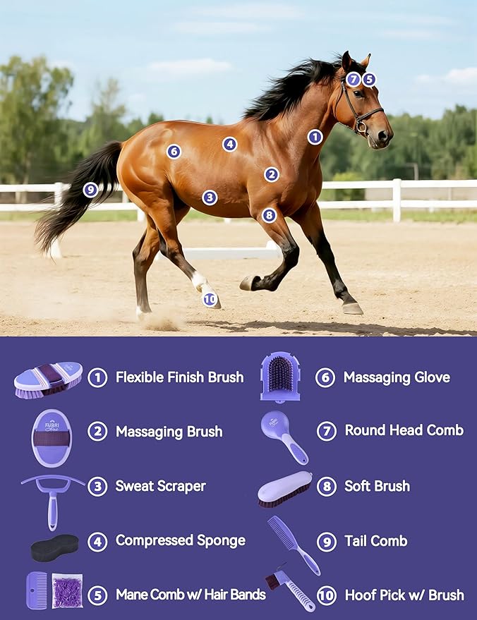 Horse Grooming Kit, 11-Piece Complete Grooming Supplies Set with Curry Comb, Brushes & Hoof Pick for Daily Care, Stable & Show Use Sugar Taro