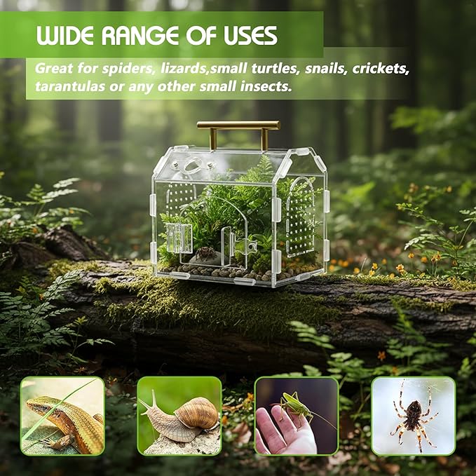 Acrylic Jumping Spider Enclosure (5.9" x 4.7" x 5.5") - Magnetic Door & Handle Terrarium for Tarantulas, Reptiles, Amphibians & Insects - All-Round Transparent, Easy Assembly & Feeding