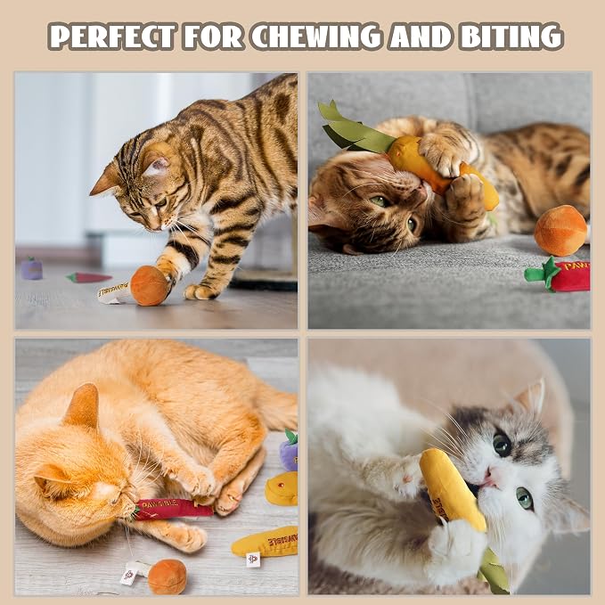 Pawsible 5 Pack Catnip Toys for Indoor Cats - 100% Organic Catnip Filled, No Cotton, Durable Teething Kicker Toys for Kittens, Food-Shaped Plush Chew Toys - Image 5