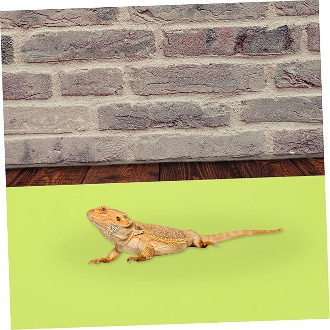 Happyyami 2pcs Reptile Carpet Mat and Washable Liner for Terrarium Bedding for Lizard Turtle Habitat and Non-Absorbent Material