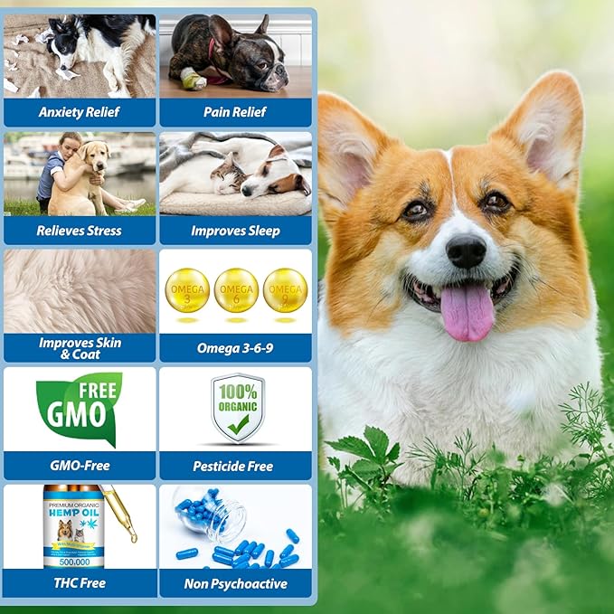 Oil for Dogs & Cats 60ML,Pet Oil for Pain,Skin,Arthritis Pain,Pain Relief,Calming,Omega 3,6,9 for Dog Emotions,Barking & Dog Joints,Supports & Maintains Healthy Joints (1 Pack, Blue)
