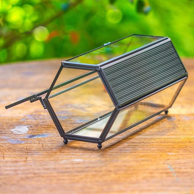 NCYP Small Glass Terrarium Enclosure with Mesh & Door for Tiny Beetle, Jumping Spiders, Hexagon Vented Glass Terrarium 6.8'' x 4.1'' x 3.6'', Indoor Decor, Black (Plants Not Include)