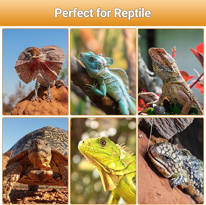 Oiibo 100W Reptile Heat Lamp Blub and 26W 10.0 UVB Reptile Light Combo Pack, Basking Spot Light UVA Heat Lamp Bulb and 26W Energy Saving UVB UVA Light for Reptiles Bearded Dragon,Turtles,Lizard