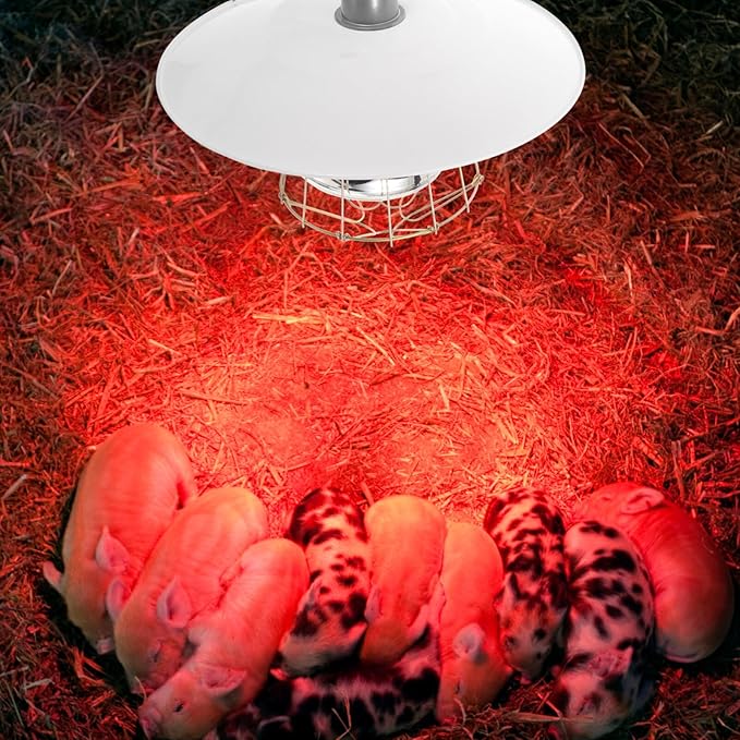 Yardwe Mini Pig Heat Lamp Livestock Heat Lamp Poultry Safe Warm Light for Animals