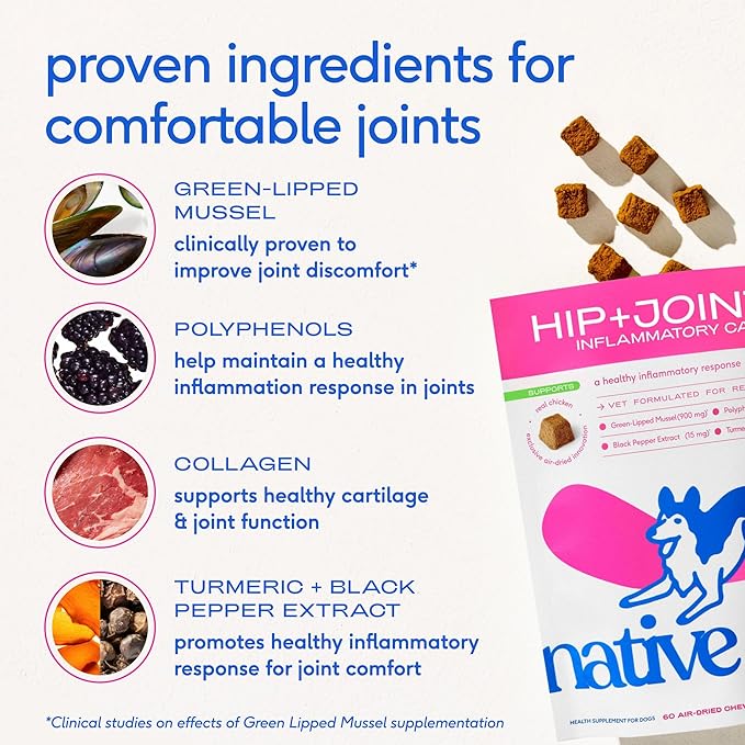 Native Pet Inflammatory Care - Pain Relief for Dogs - Green-Lipped Mussel, Turmeric & Collagen for Dogs - Hip and Joint Supplement Supports Healthy Inflammatory Response & Joint Comfort - 60 Chews