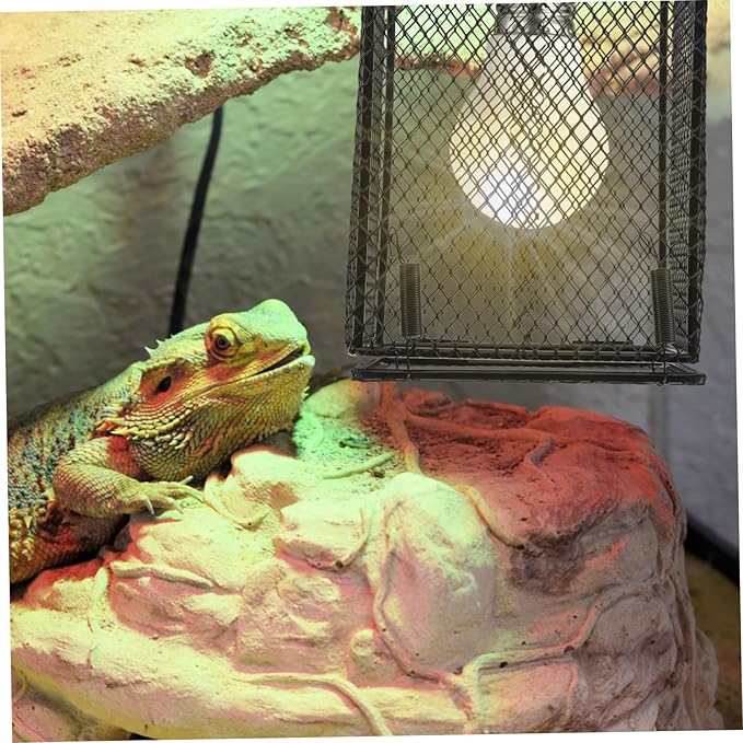 Totority Pet Cage Heat Lamp Protective Cover for Reptiles and Birds Scald Prevention Lamp Shade for Parrots Turtles and Lizards Essential Heating for