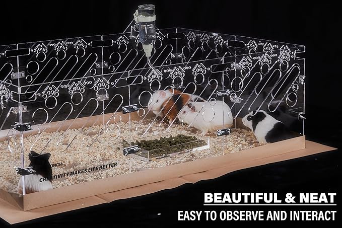 Acrylic Guinea Pig Cages - 3x2ft Small Animal Cage | DIY Extendable | Easy-to-Clean Disposable Bottom (Without Lid)