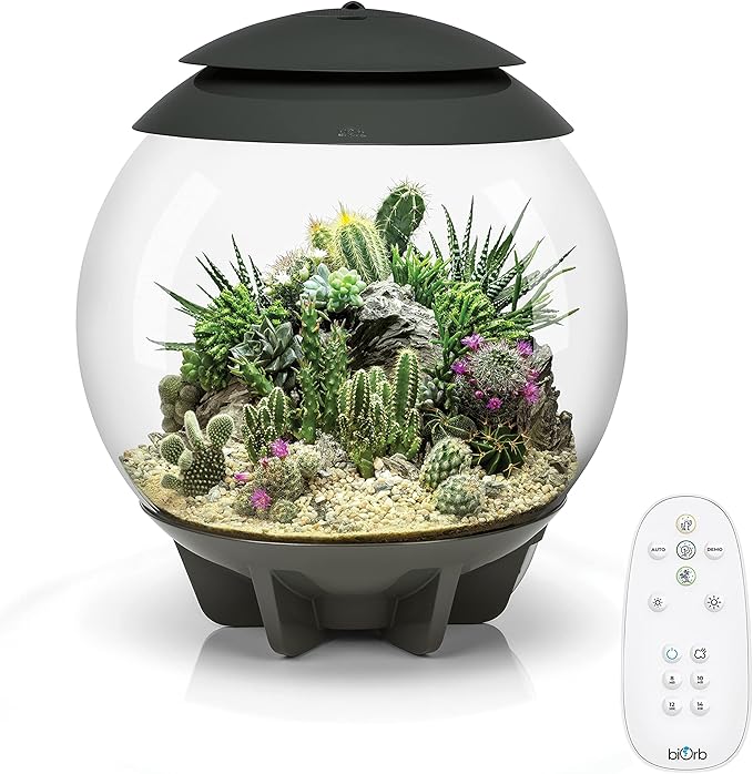 biOrb AIR 30, Fully Automated Terrarium for Arid, Temperate, or Tropical Plants, Gray
