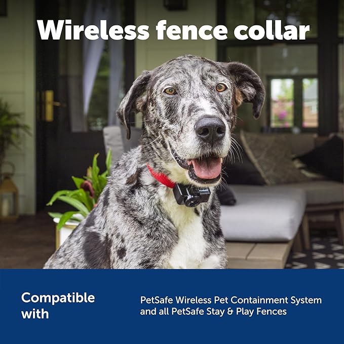 PetSafe Wireless Pet Containment System Receiver Collar - Battery-Operated & Waterproof - Adjustable Receiver Collar with 5 Correction Levels - for Dogs 8lb+