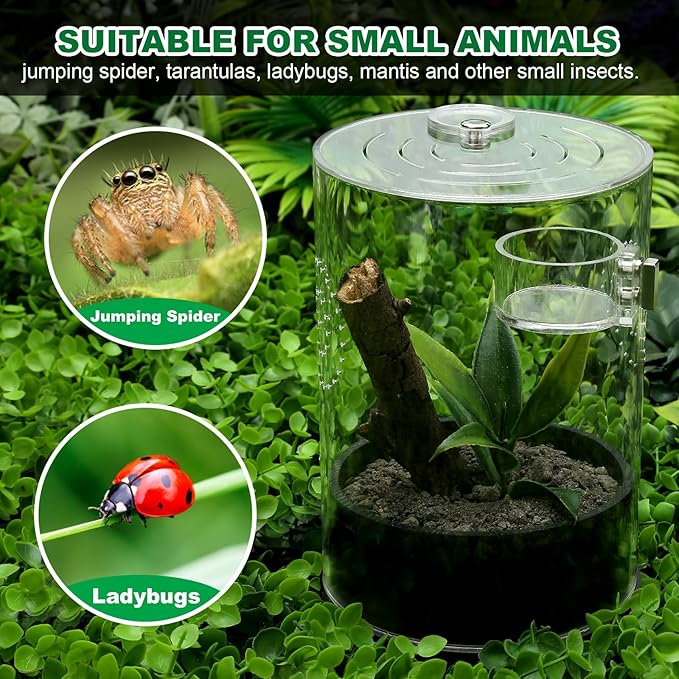 Jumping Spider Enclosure Starter Kit with Feeding Dish, Tarantula Terrariums Cribs for Mantis Snails Ladybugs Insect, Micro Habitat Cage Accessories