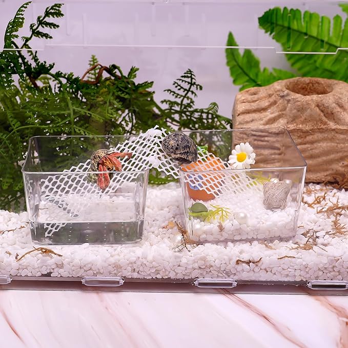 U0U 2 Pack Hermit Crab Water Tank,Hermit Crab Accessories Hermit Crabs Cage with Climbing Ramps,Acrylic Hermit Salt Water Pool for Small or Medium Hermit Crabs Habitat (Small)
