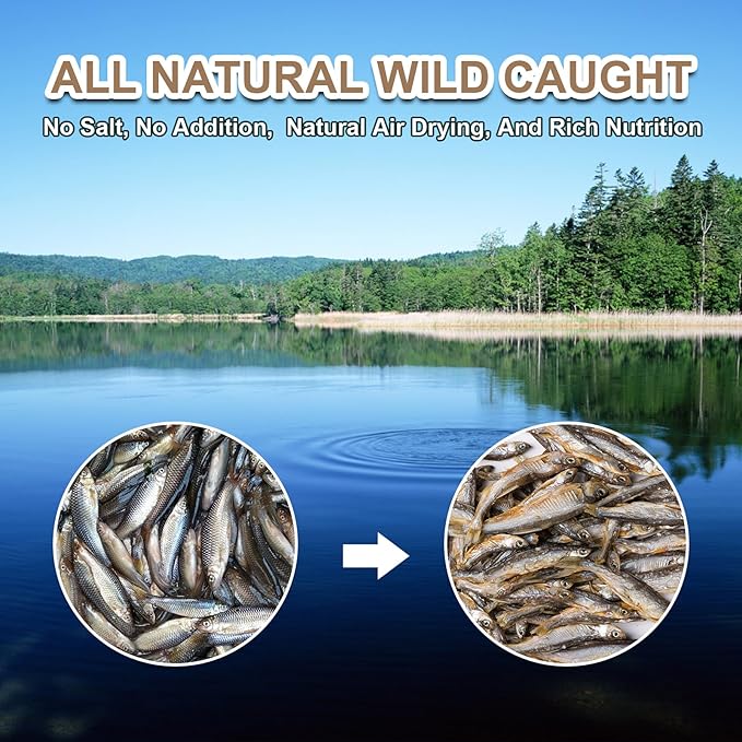 Dried River Fish Minnows - High Protein Natural Food for Turtles, Bearded Dragons, Tropical Fish, Amphibians & Cats (5.5oz)