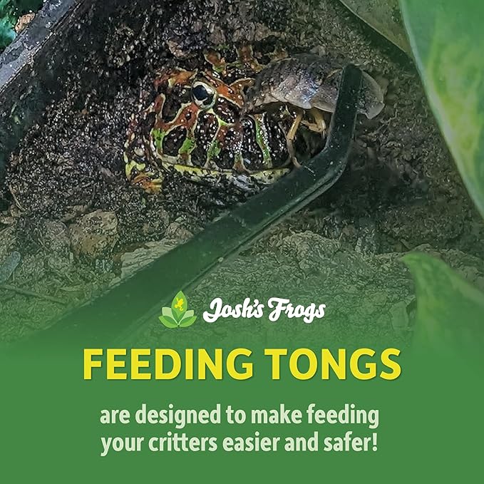 Josh's Frogs Stainless Steel Curved Reptile Feeding Tongs (12 inch)