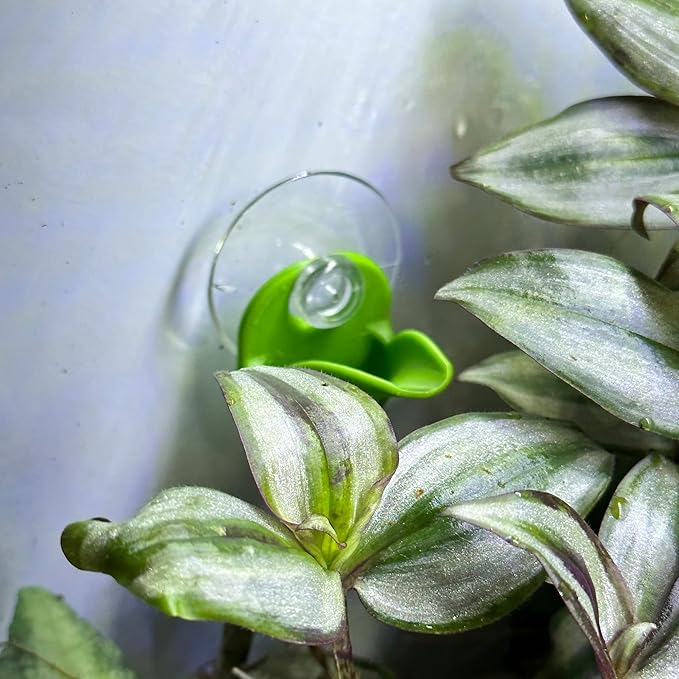 Dart Frog Leaf Pod - Bromeliad Leaf Hide