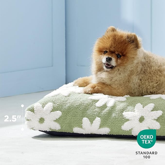 LE SURE Small Dog Beds-Thick Shredded Chopped Foam Pet Bed Gift Indoor with Removable Cover, Cute Modern Fuzzy Plush & Anti Slip Bottom, Green