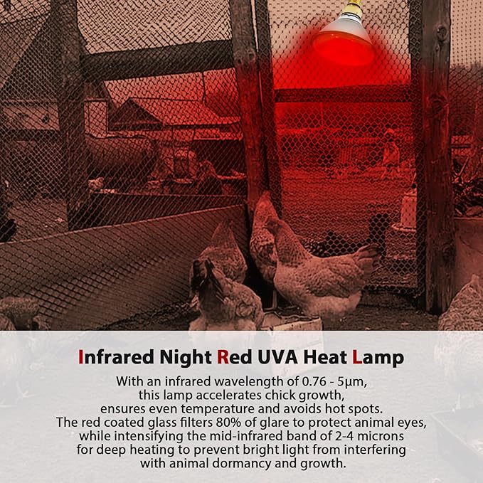 Heat Lamp, 175W Heat lamp Bulbs, PAR38 Infrared Heat lamp, Halogen Heat for Food Service, Brooder Bulb, Chicks, Pet, Bathroom, Light Therapy Use E26 Base, Flood Light Heat Lamp. 1 Pack
