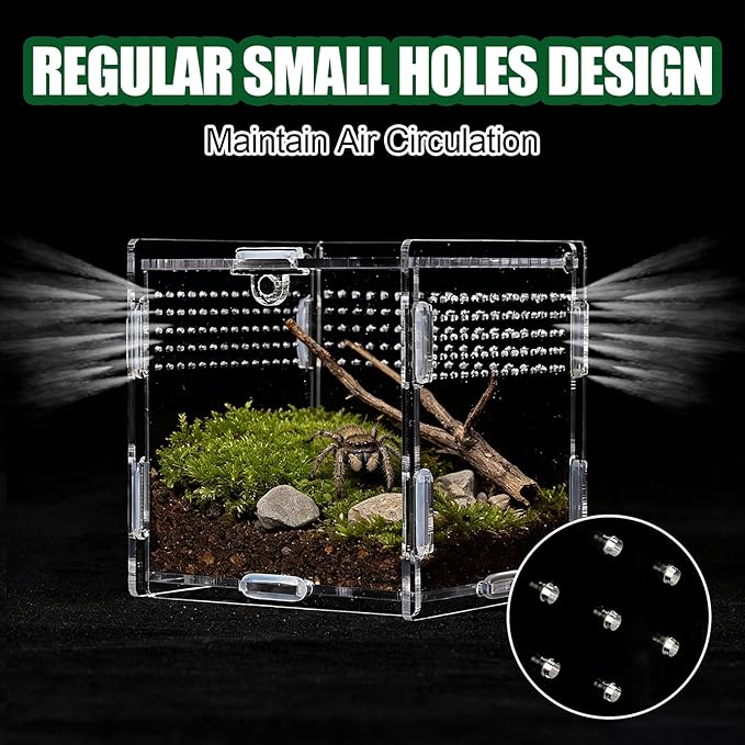 Transparent Jumping Spider Enclosure, Acrylic Reptile Terrarium Enclosure, Small Reptiles Habitat Tank Breeding Box for Tarantula Insect (Small)