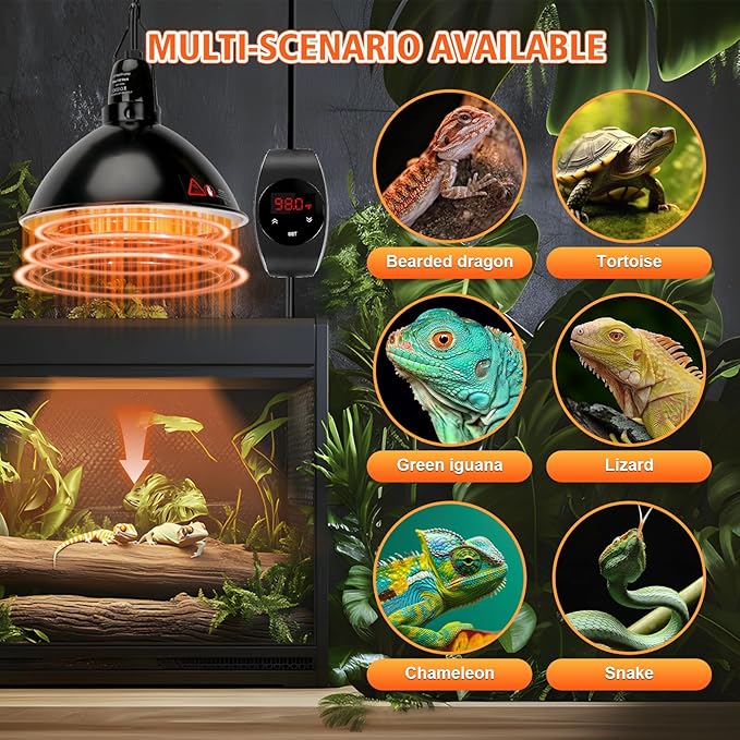 XFP Reptile Light Fixture with Thermostatic Timer, 5.5'' Reptile Heat Lamp Fixture, Added Switch Control Function with 300W Heat Lamp Bulbs for Reptile Glass Terrariums